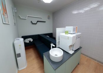 How Air Purifiers Can Ease Asthma and Allergies