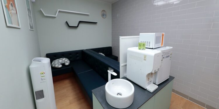 How Air Purifiers Can Ease Asthma and Allergies